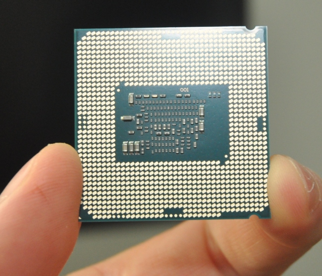 Celeron back Celeron back